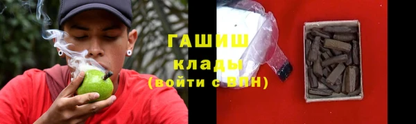 индика Сосновка