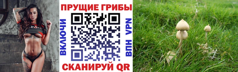 Псилоцибиновые грибы мицелий наркошоп Соль-Илецк