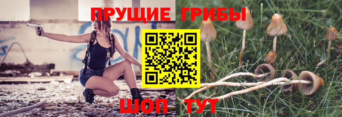 Галлюциногенные грибы прущие грибы  Галлюциногенные грибы ЛСД  как найти закладки  Соль-Илецк  Вход с VPN 